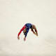 Biles competing at the Rio 2016 Olympics.